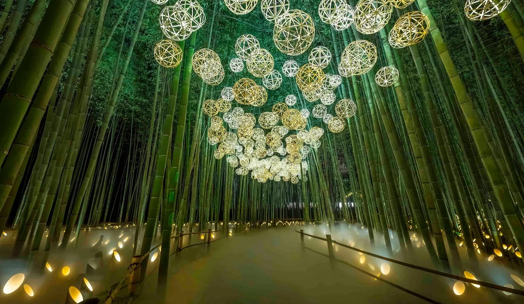 夜間點燈的竹林與懸掛在空中的竹球燈飾