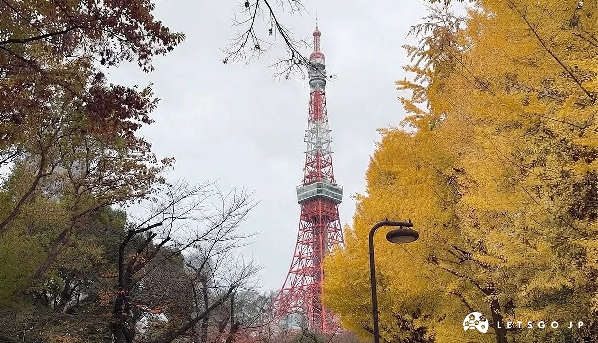 東京芝公園銀杏映襯藍天白雲,背景矗立著東京鐵塔