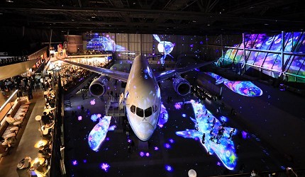 FLIGHT OF DREAM館內館內以787波音客機為主題