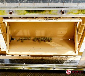 富士野生動物園的叢林巴士車上設備