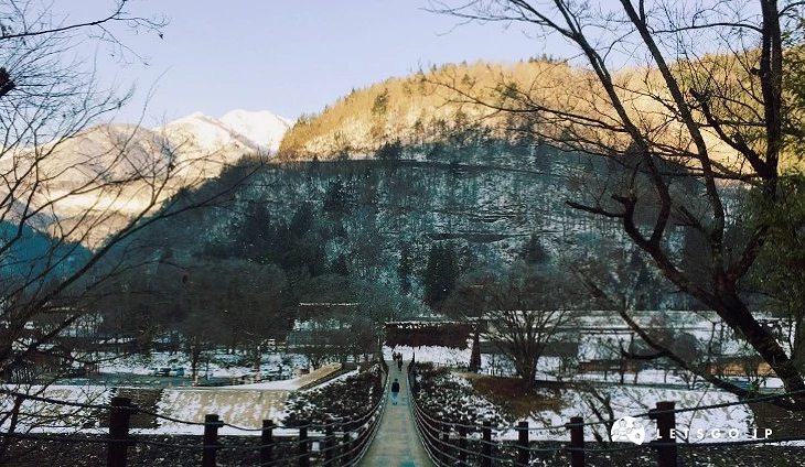 冬日吊橋向遠方延伸,兩側樹木與殘雪山林景致相伴。