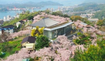 千光寺公園櫻花滿開,櫻花包圍尾道市立美術館,遠景為瀨戶內海與尾道市區