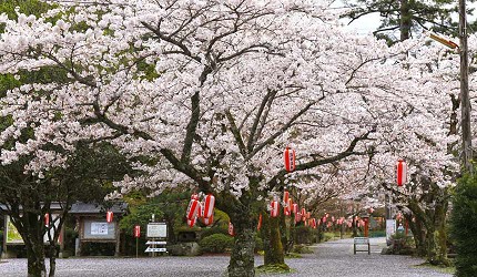 山口縣必訪景點推薦長門湯本溫泉街大寧寺
