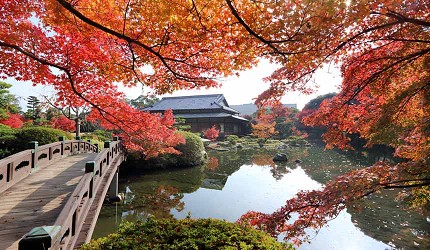 山口縣必訪景點推薦長府庭園和服體驗