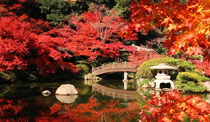 山口縣必訪景點推薦長府庭園賞楓