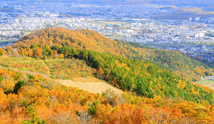 北海道札幌藻岩山纜車道沿途紅葉景色,俯瞰市區全景與層層楓林
