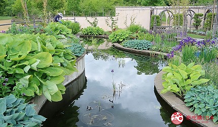 北海道賞花推薦惠庭銀河庭園吃花體驗