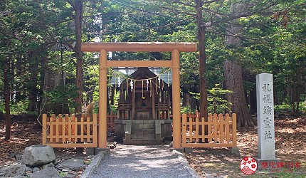 北海道札幌自由行札幌景點必去推薦行程交通方式怎麼去地鐵圓山円山公園動物園企鵝北極熊六花亭北海道神宮參拜下雪櫻花梅花賞櫻穗多木神社札幌礦靈神社開拓神社