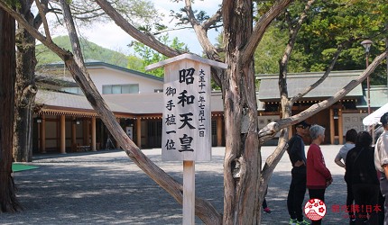 北海道札幌自由行札幌景點必去推薦行程交通方式怎麼去地鐵圓山円山公園動物園企鵝北極熊六花亭北海道神宮參拜下雪櫻花梅花賞櫻穗多木神社札幌礦靈神社開拓神社