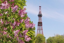 札幌電視塔完全攻略：門票、營業時間、交通、夜景與觀景台指南