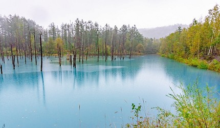 北海道自由行札幌自由行推薦行程北海道冬天自由行推介景點北海道夏天自由行北海道7天6夜自由行日本北海道自由行北海道自由行5天函館自由行北海道自助旅行北海道夏天自由行攻略北海道自由行攻略介紹文章函館進札幌出溫泉秘境百萬夜景圖