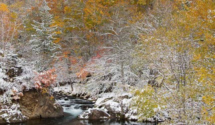北海道札幌定山溪溫泉景色