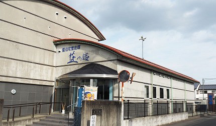 四國自由行