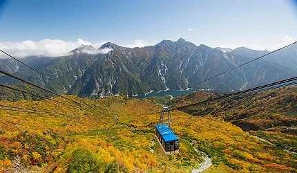 纜車穿越紅葉山區上空