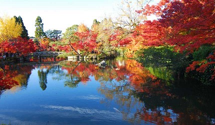 禪林寺庭園池水倒映秋季紅葉與藍天，構成如畫美景