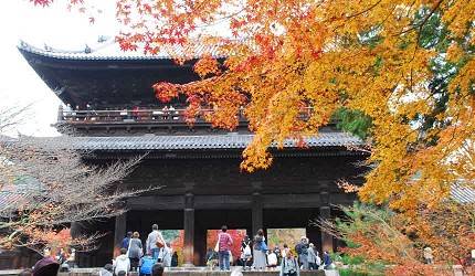 南禪寺宏偉三門與秋季紅葉交織，吸引大量遊客觀賞