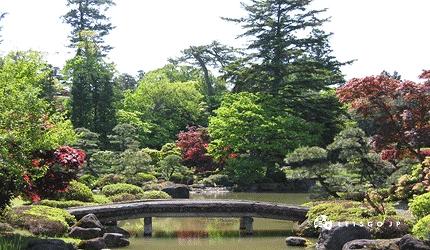 日式庭園,小河上有石橋,周圍都是綠樹