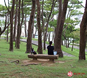 “座喜味城園內風光”