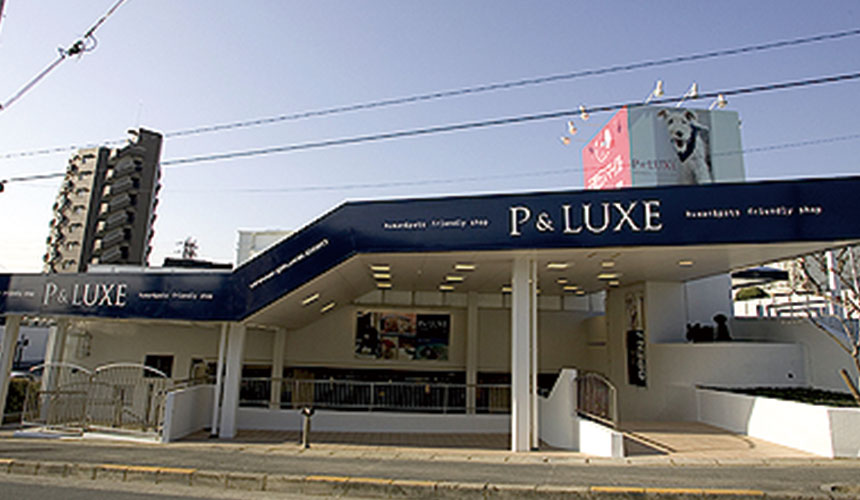 PL-01