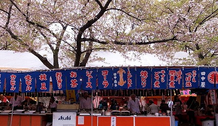大阪櫻花2026造幣局櫻花步道桜の通り抜け圖