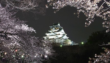 大阪櫻花2026西之丸庭園圖