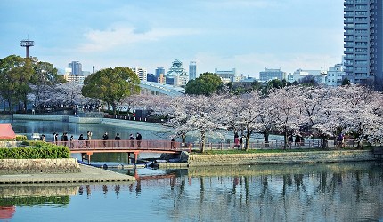 毛馬櫻之宮公園大川河畔櫻花景色,紅色橋樑橫跨河面,背景為大阪市區高樓大廈