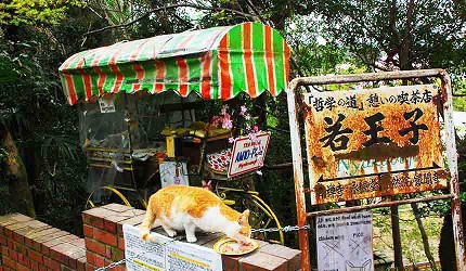 若王子橋旁的特色攤位與正在休息的橘貓，展現當地悠閒氛圍