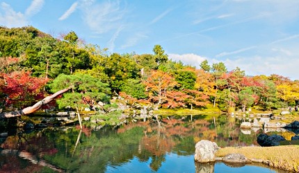 嵐山天龍寺的紅葉美景