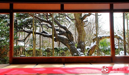 京都5天4夜京都自助旅行京都自由行究極攻略整理文章行程景點推薦攻略懶人包下雪大原三千院