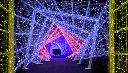 京都琉璃溪溫泉公園 ILLUMIERE Synesthesia Hills