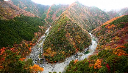 四國自由行搭乘觀光巴士「KOTOBUS IYA VALLEY」前往德島祖谷（秋季楓葉紅葉）