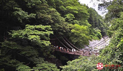 四國自由行搭乘觀光巴士「KOTOBUS IYA VALLEY」前往德島祖谷觀看藤蔓橋絕景