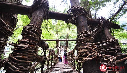 日本四國德島祖谷藤蔓橋橋頭