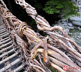 四國自由行搭乘觀光巴士「KOTOBUS IYA VALLEY」前往德島祖谷的藤蔓橋（かずら橋）