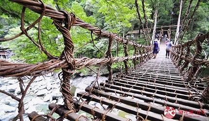 日本四國德島祖谷的藤蔓橋橋身