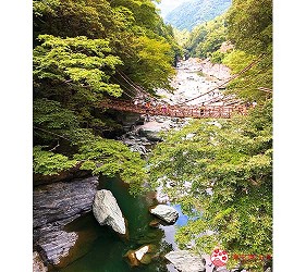 四國自由行搭乘觀光巴士「KOTOBUS IYA VALLEY」前往德島祖谷的藤蔓橋（かずら橋）