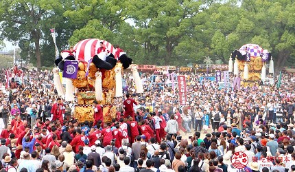 四國愛媛新居濱市景點太鼓祭