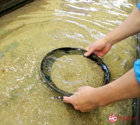 四國愛媛新居濱市景點礦山主題公園Minetopia別子