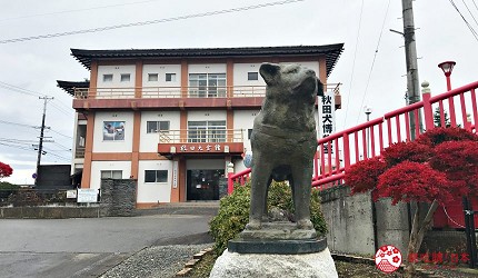 秋田縣大館市秋田犬會館