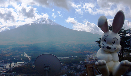 日本的富士山附近的天上纜車和吉祥物兔子