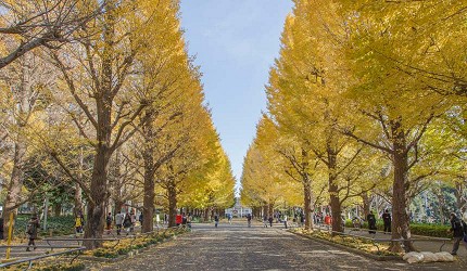 東京東急電鐵一日券自由行目黑日吉