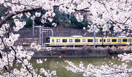 JR東京市區一日券PASS東京都市地區通票