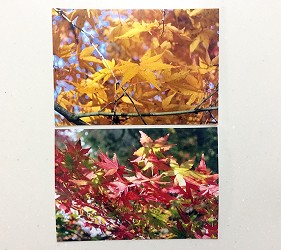 日本便利商店列印文件影印文件印照片方式詳細圖文教學步驟簡單日文中文英文