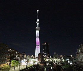 日本全國東京帶爸媽自由行旅遊全攻略指南小資族推薦景點交通CP值高評價方便便利安排行程一日遊市郊來回三天兩夜明治神宮阿美橫丁表參道上野購物台場吉祥寺井之頭三鶯鎌倉江之島川越橫濱河口湖草津箱根日光輕井澤吃喝玩樂