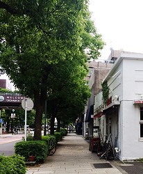 山下公園尾端，往大棧橋路上有幾家別具特色的雜貨小店。