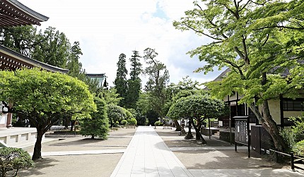 圓覺寺打禪