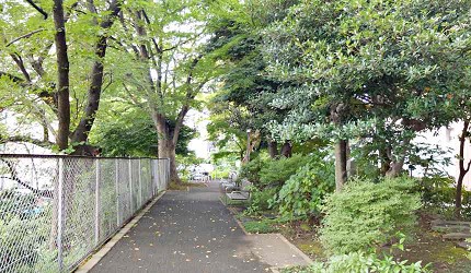 東京慶應義塾大學福澤諭吉早稻田大學大隈重信