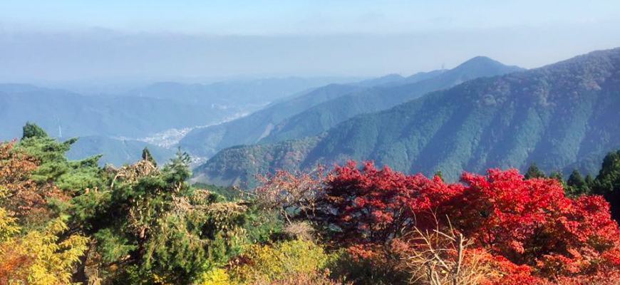 御嶽御岳山奧多摩湖賞楓紅葉散步一日遊