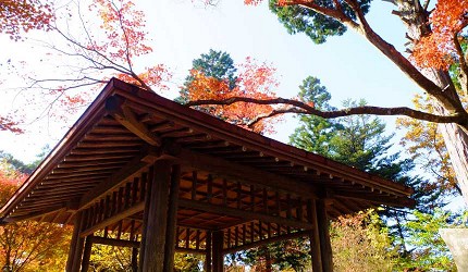 御嶽御岳山奧多摩湖賞楓紅葉散步一日遊