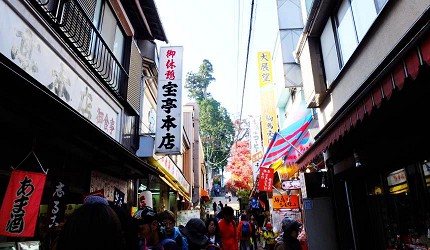 御嶽御岳山奧多摩湖賞楓紅葉散步一日遊